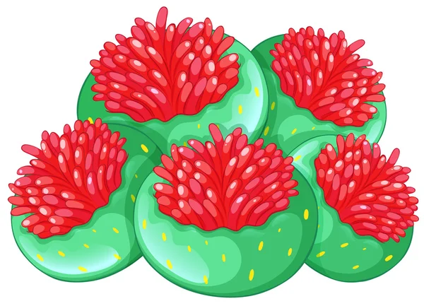Fleur de corail sur fond blanc — Image vectorielle