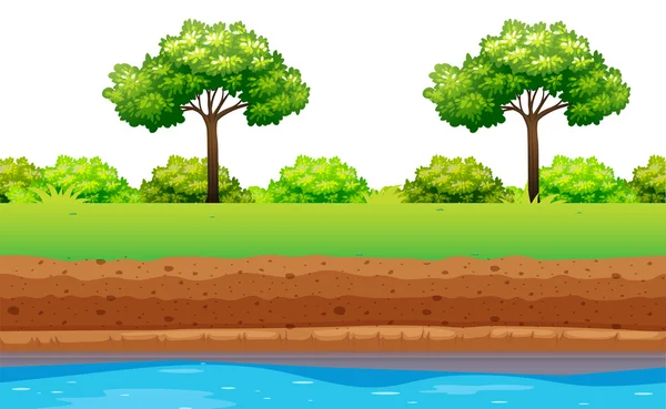 Arbres verts et buissons le long de la rivière — Image vectorielle
