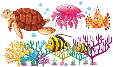 Mercan Yüzme deniz hayvanları