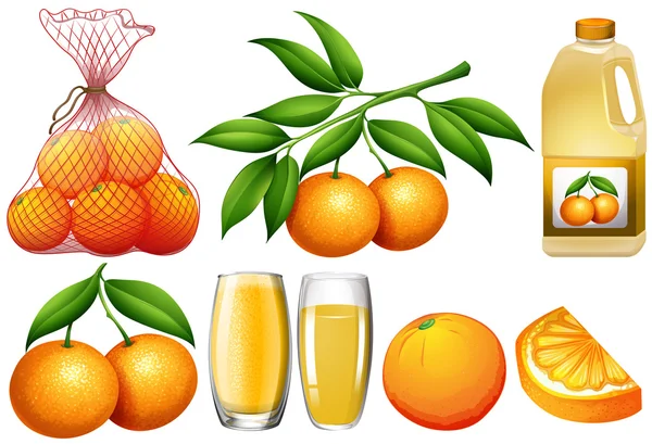 Orangen und Orangenprodukte — Stockvektor