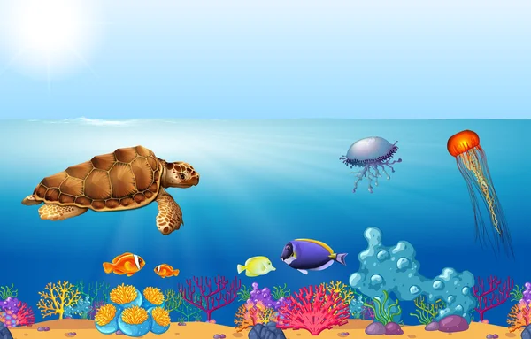Hewan laut berenang di bawah laut - Stok Vektor