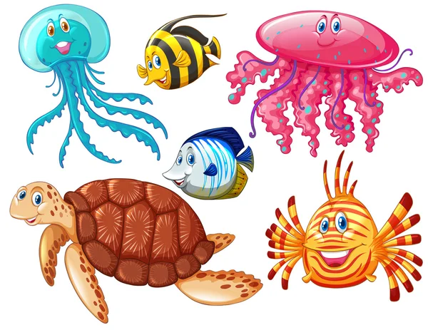 Verschiedene Arten von Meerestieren — Stockvektor