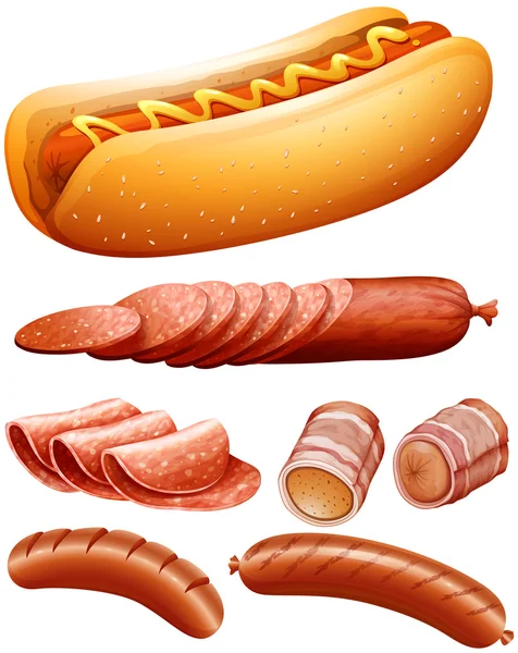 Diferentes tipos de carne e cachorro quente — Vetor de Stock