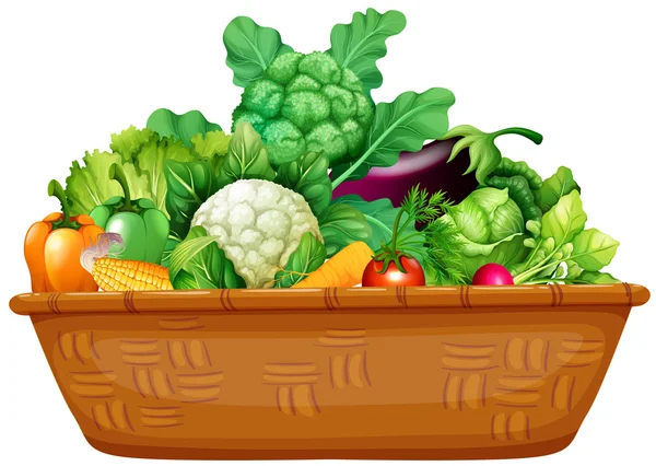 Cesta llena de verduras frescas — Vector de stock