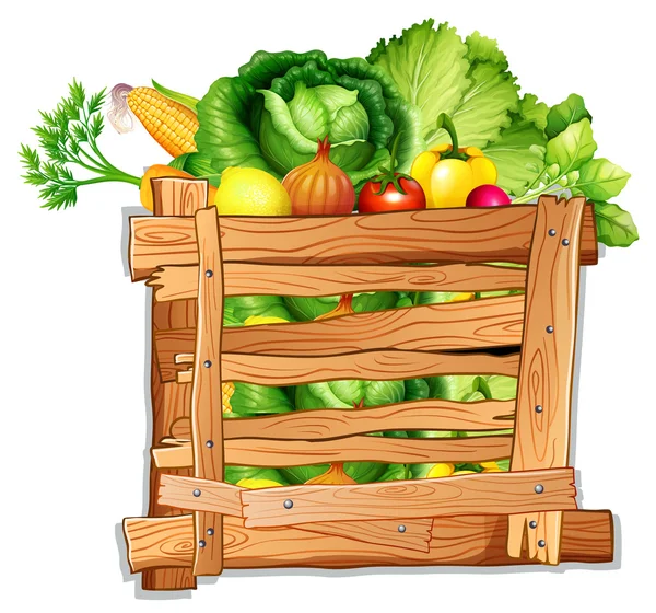 Muchas verduras en la caja de madera — Vector de stock