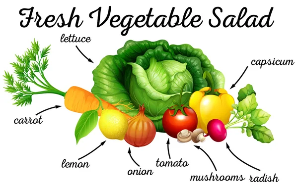 Verschiedene Gemüsesorten für Salat — Stockvektor