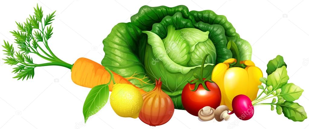 Various kind of vegetables