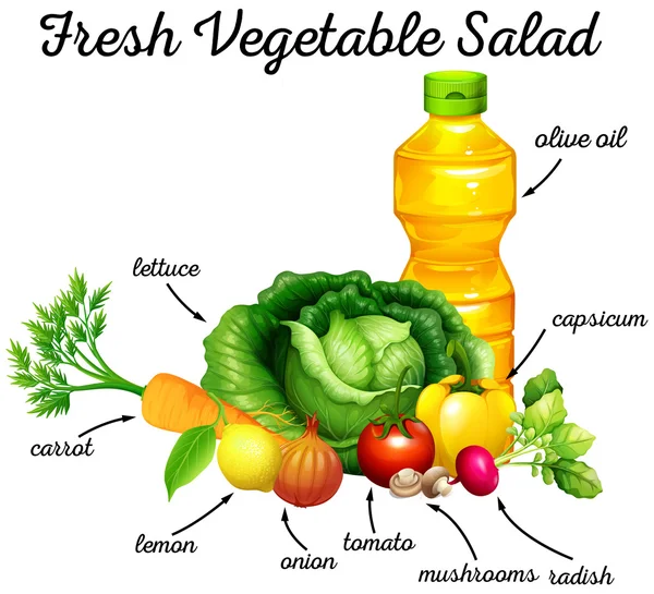 Verdure fresche e olio d'oliva per insalata — Vettoriale Stock