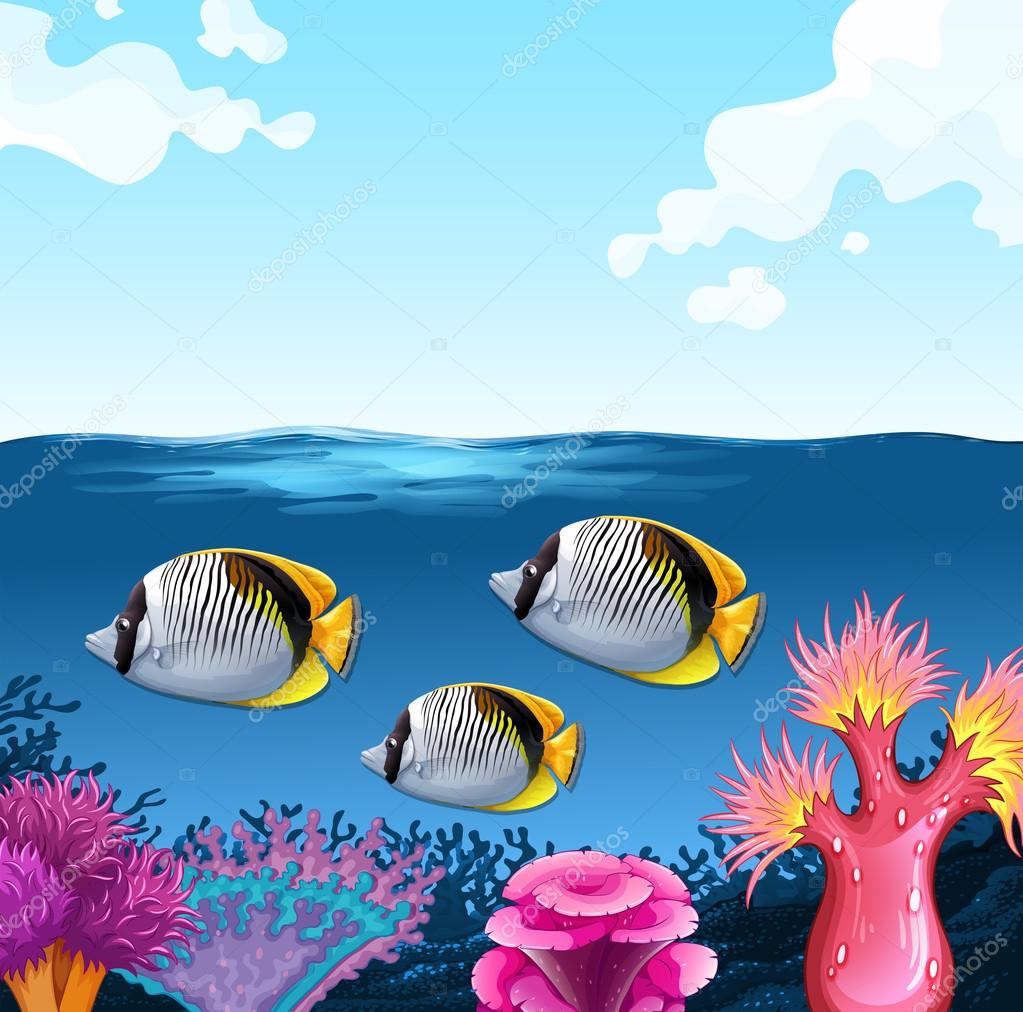 海の下で泳ぐ 3 つの魚 ストックベクター C Blueringmedia