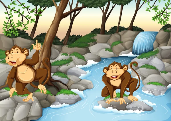 Two monkeys living by the waterfall