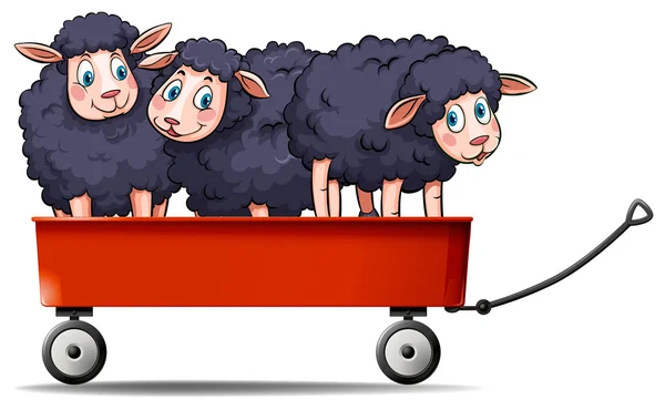 Drie zwarte sheeps op rode wagen — Stockvector