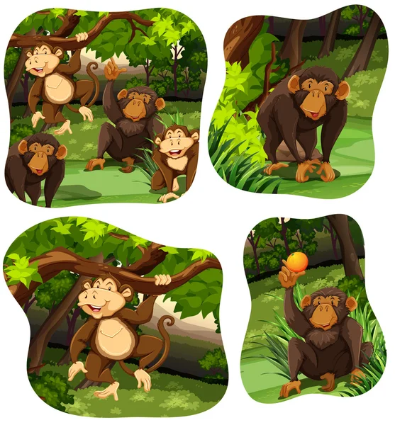 Monos viviendo en el bosque profundo — Vector de stock