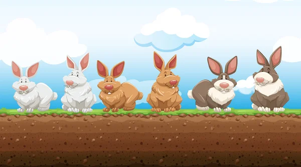 Conejos de Pascua de pie en el suelo — Vector de stock