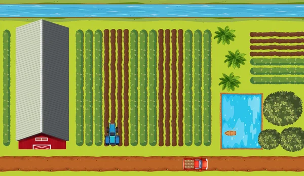 Vista superior de tierras de cultivo con cultivos — Vector de stock