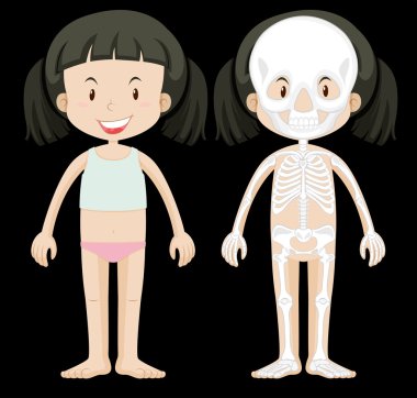 Kız ve iskelet diyagramı