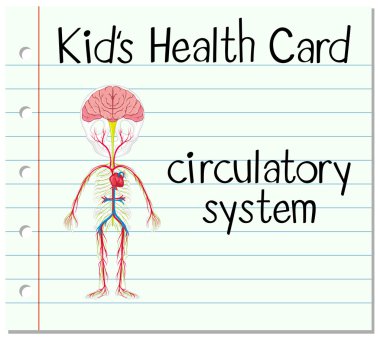 Dolaşım sistemi ile sağlık kartı