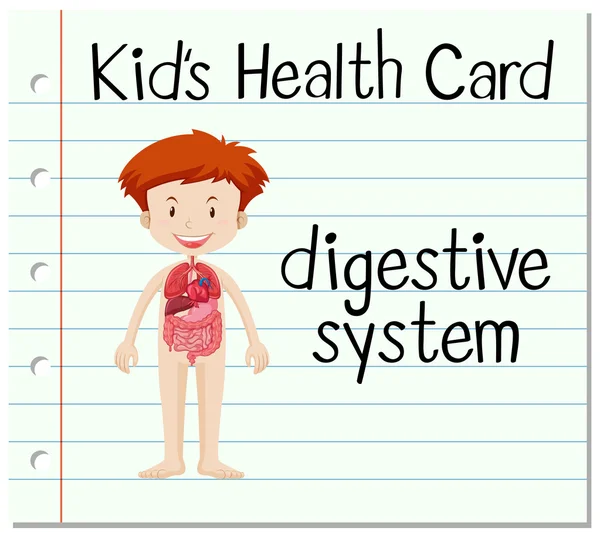 Scheda sanitaria con sistema digestivo — Vettoriale Stock