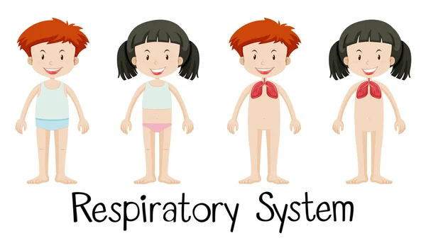 Children and respiratory system — Stock Vector