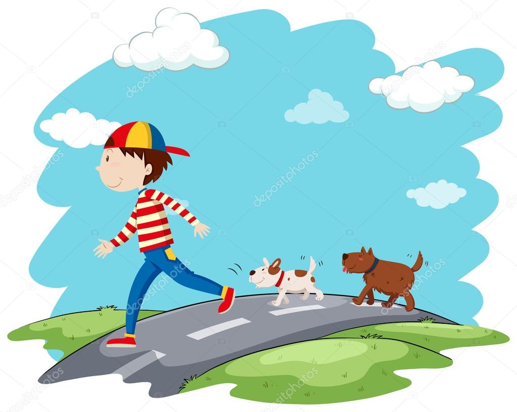 Man walking dogs on the street