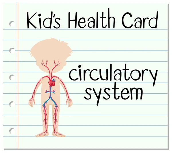 Tarjeta sanitaria para niños con sistema circulatorio — Vector de stock