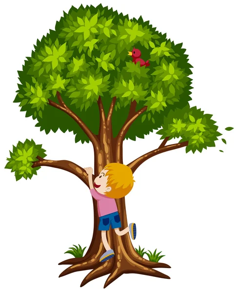 小男孩爬上树 — 图库矢量图片