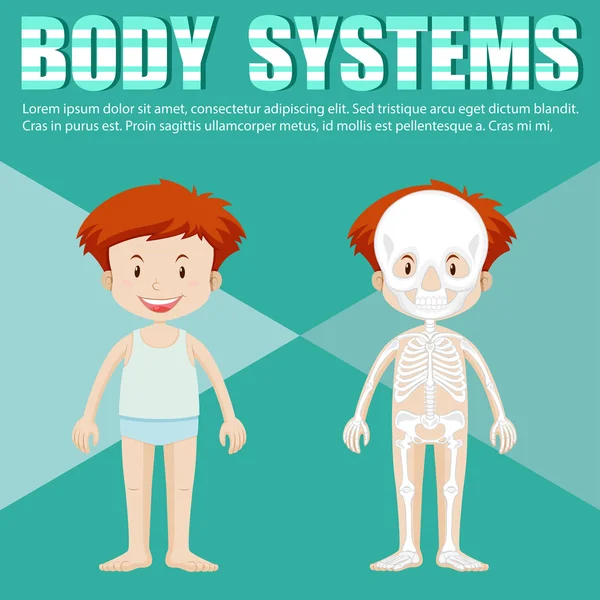 Lichaamssysteem van jongen en meisje — Stockvector