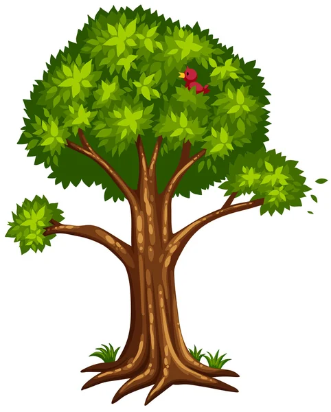 1 つの木と枝に鳥 — ストックベクタ