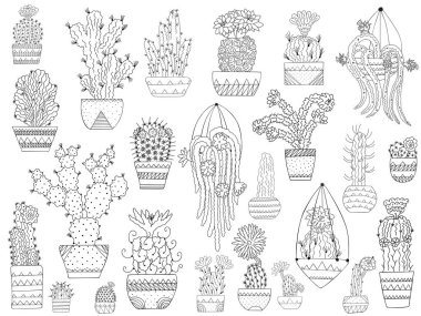 Siyah ve beyaz kaktüsler desenli tencerelerde. İskandinav tarzında karalamalar. Boyama kitabı, logo, simgeler, amblemler, DIY, dekor için izole edilmiş sulu bitkisel klip sanatı. Vektör.