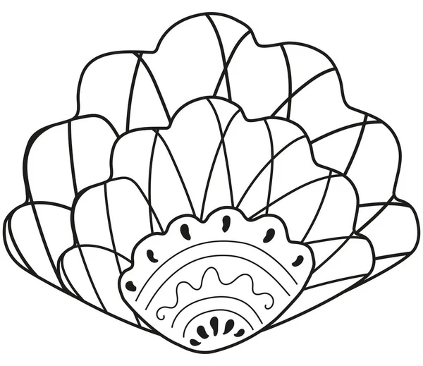 摘要北欧风格的黑白观赏性贝壳 孤立的轮廓 海洋装饰设计元素和标志 用于给书籍和页面着色 — 图库矢量图片