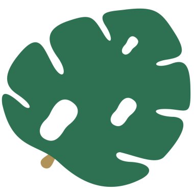 Monstera Deliciosa 'nın yeşil renkli, beyaz arka planda izole edilmiş çizgi film yaprağı. Amblem, logo, simge ve çıkartma için tropik tek karalama. Vektör.