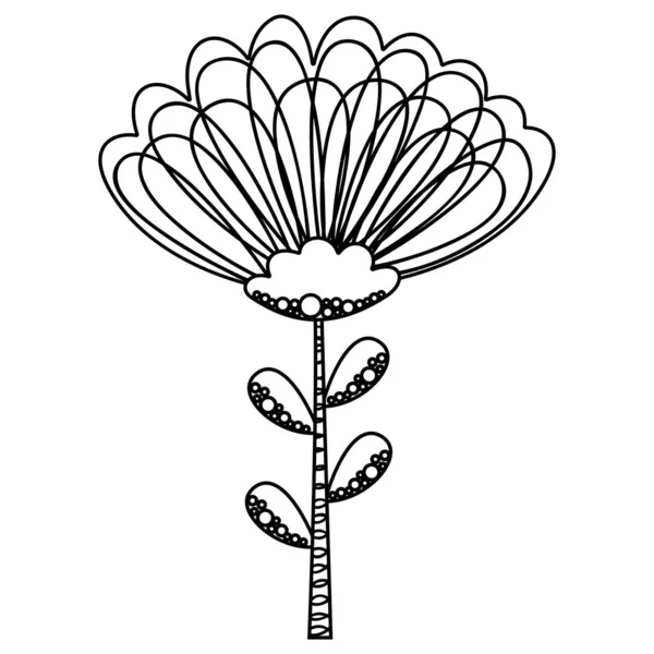 在斯堪的纳维亚风格中 黑白幼稚嫩可爱的单花柱菊花或菊花 孤立的轮廓漫画植物涂鸦 适用于图书 幼儿装饰等的着色 — 图库矢量图片