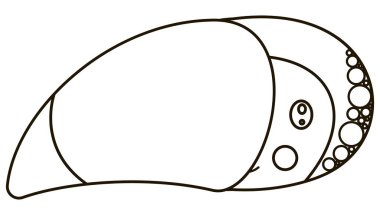 Çizgi film karakteri gökkuşağı tukanının siyah ve beyaz sevimli yüzü büyük gagalı ve gülümseyin. Dijital damga, boyama kitabı, sembol ve logo için izole edilmiş egzotik bir kuş kafası. Vektör.