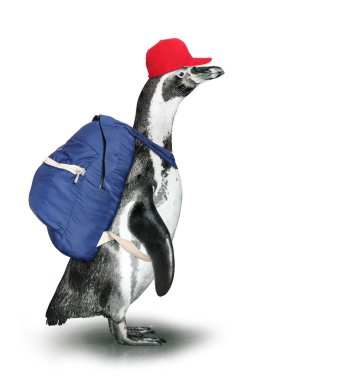 Sırt çantası ile komik penguen