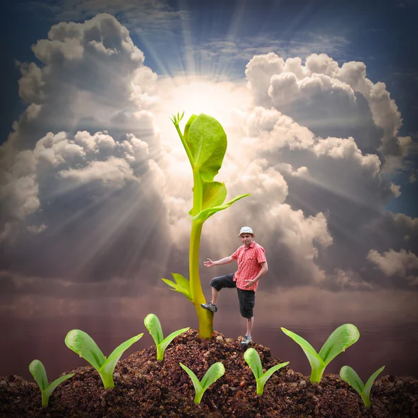 Jack en de beanstalk. — Stockfoto