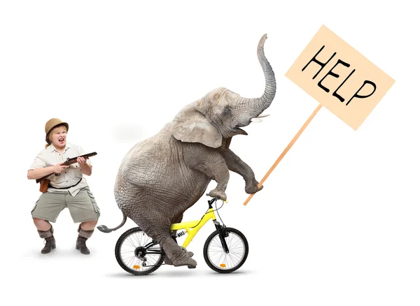 Słoń na rowerze trzymając znak protestu — Zdjęcie stockowe
