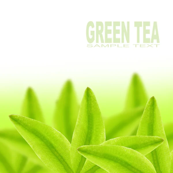 Concepto de té verde — Foto de Stock