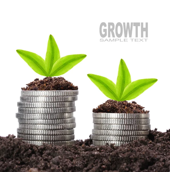 Money growth concept — Stock Photo, Image