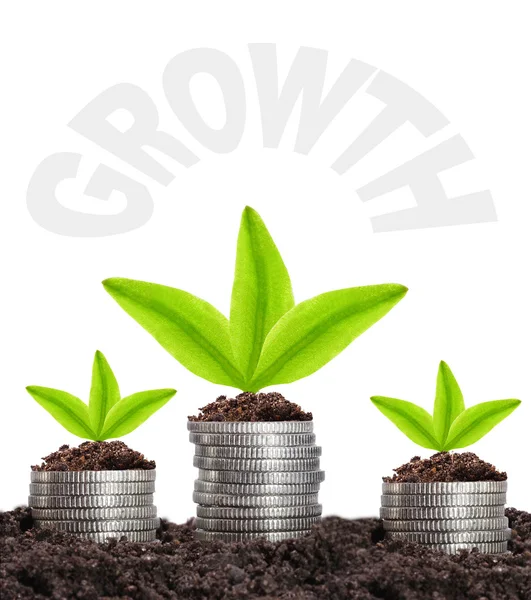 Money growth concept — Stock Photo, Image