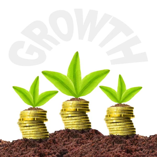 Geld-Wachstum-Konzept — Stockfoto