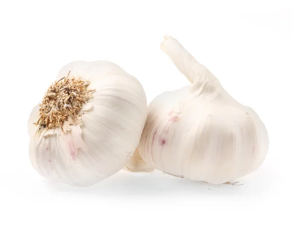 The Garlic (Allium sativum) — Stock Photo, Image