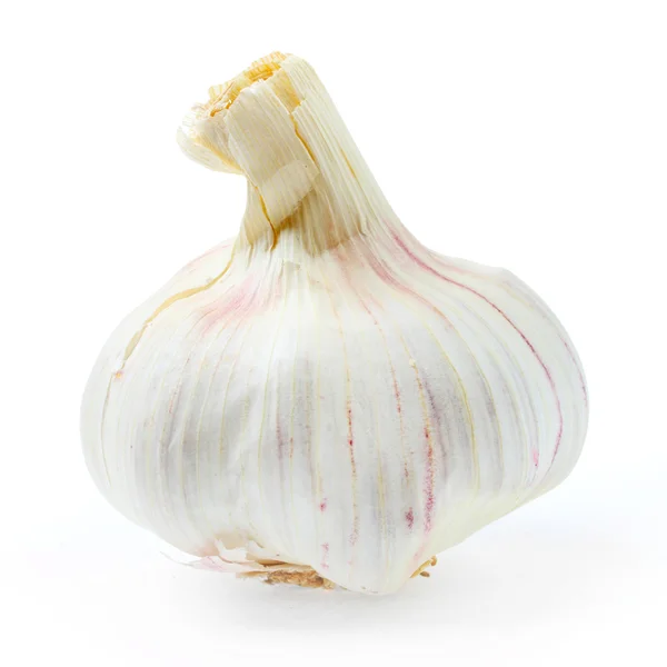 The Garlic (Allium sativum) — Stock Photo, Image