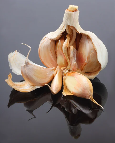 The Garlic (Allium sativum) — Stock Photo, Image