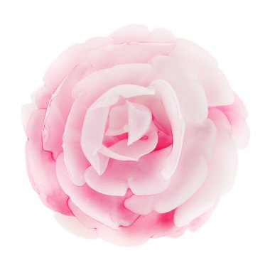 izole pembe Gül çiçek
