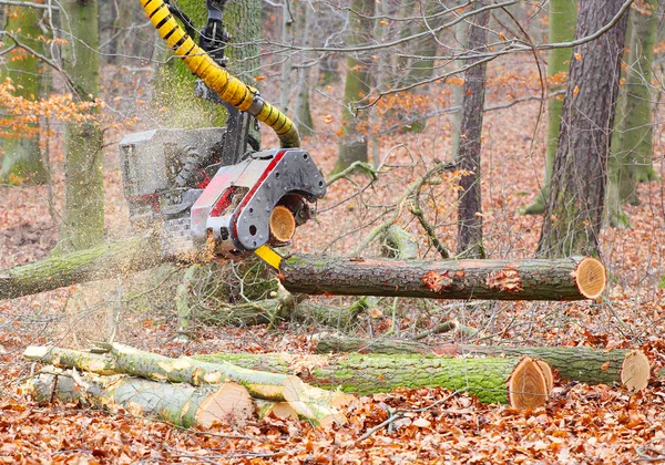 The harvester working in a forest — Stock Photo, Image