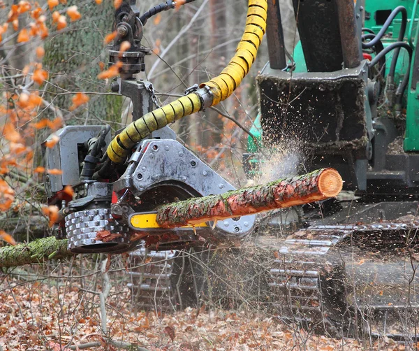 The harvester working in a forest — Stock Photo, Image