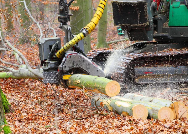 La cosechadora trabajando en un bosque — Foto de Stock