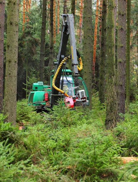 La cosechadora trabajando en un bosque — Foto de Stock