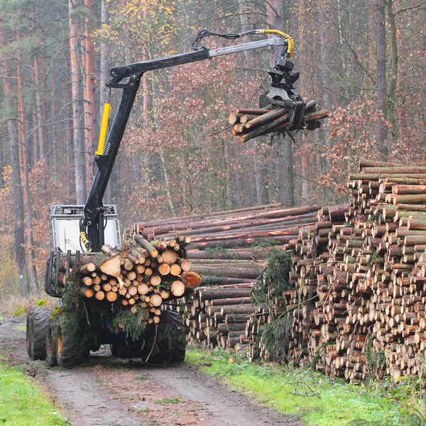 A colheitadeira trabalhando em uma floresta — Fotografia de Stock