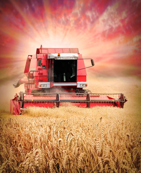 Combinar la cosecha de trigo —  Fotos de Stock