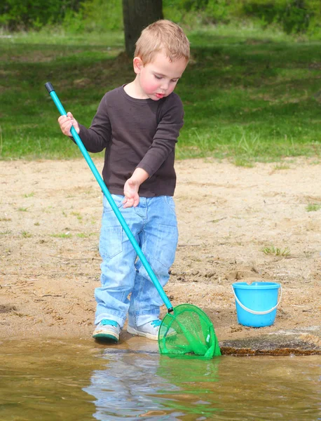 Pequeño niño la captura de pequeños peces — Foto de Stock